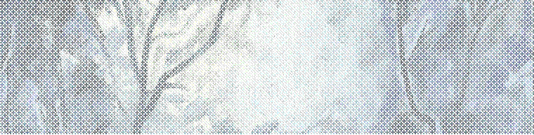 Text Box: 